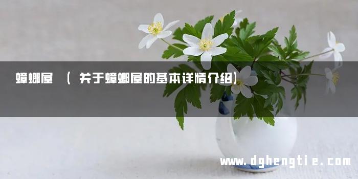 蟑螂屋 (关于蟑螂屋的基本详情介绍)